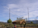 ED5R - CQ WW DX SSB 2009