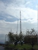 AM5R - CQ WW DX SSB 2007